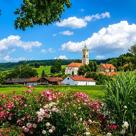 公寓 Wundervolles Am Kurpark In 巴特比恩巴赫